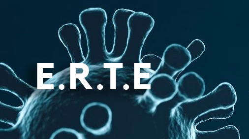 COMISIÓN DEL SEGUIMIENTO DEL ERTE  25/02/21